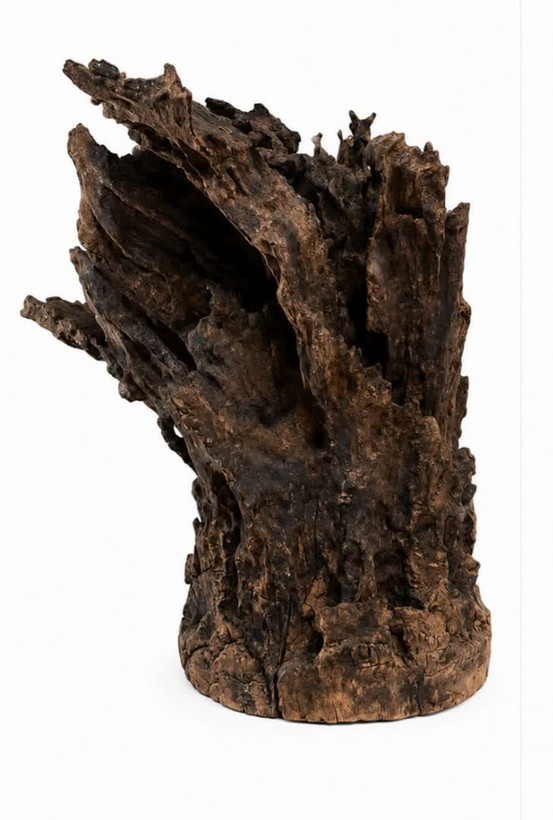 مجسمه دکوراتیو ریشه کهن